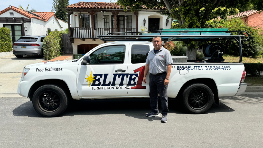 Elite1 termite control in Los Angeles