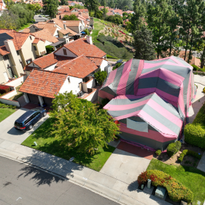 termite tenting in Beverly Hills