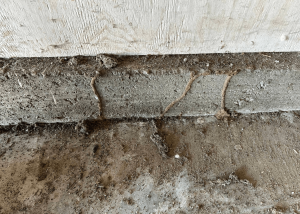 termite control Santa Monica